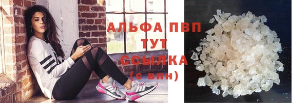 крисы Алзамай