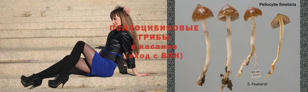 наркотики Алексеевка