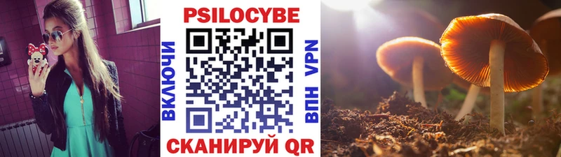 Галлюциногенные грибы Psilocybine cubensis  даркнет сайт  Баймак 